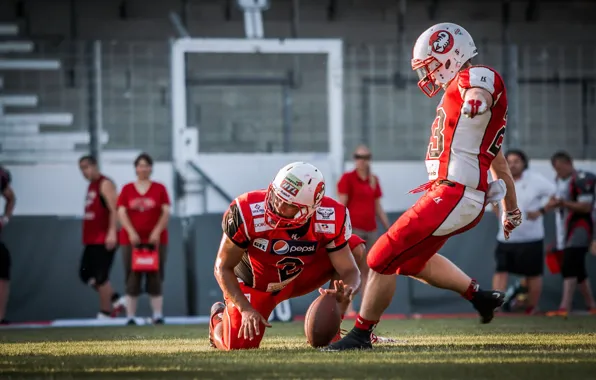 Picture football, sport, the ball