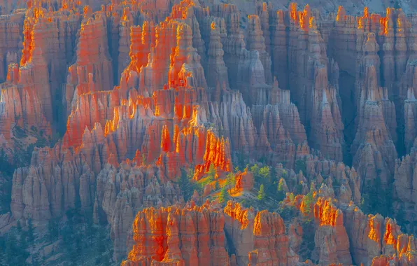 Light, mountains, nature, rocks, height, canyons