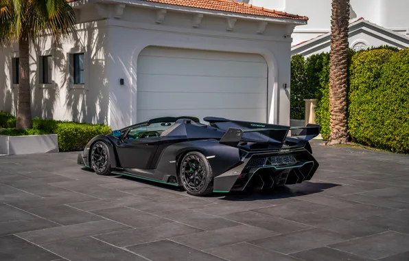 Roadster, Lamborghini, supercar, supercar, 2014, Veneno, the only instance, the only instance