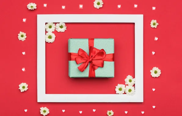 Flowers, red, squares, background, holiday, box, gift, color