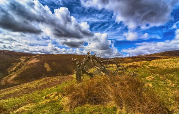 Picture the sky, clouds, landscape, Scotland