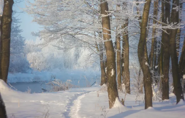 Winter, river, frost