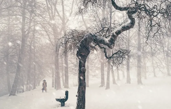 Picture winter, snow, bench, people, trees