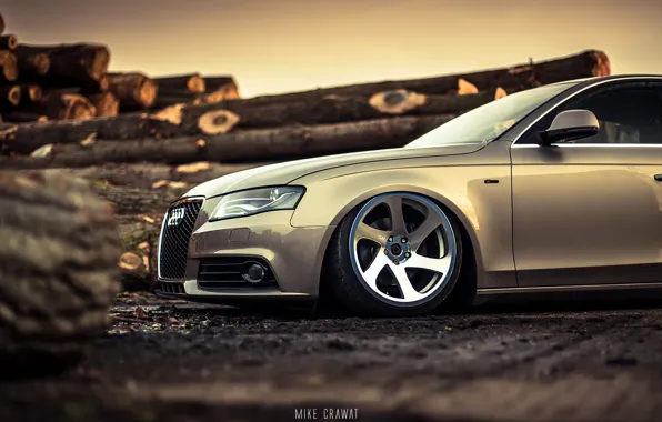 Audi, Auto, Audi, Disk, Forest, Machine, Wheel, Sedan