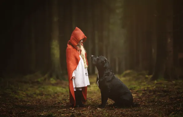 Picture forest, dog, girl