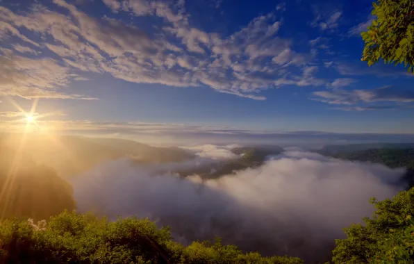 Summer, fog, river, morning, Germany, Saar loop