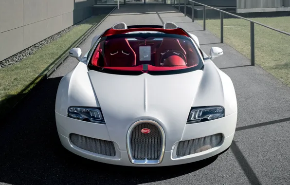 Picture lights, white, Bugatti Veyron, the front, roadster, hypercar, Grand Sport, Wei Long