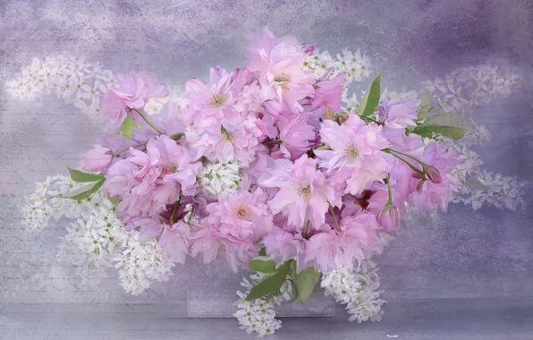 Flowers, Sakura, cherry