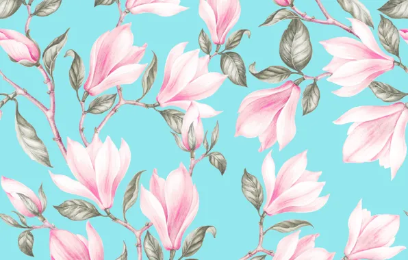 Flowers, branches, background, blue, Magnolia