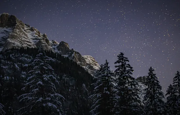 Picture winter, the sky, stars, snow, trees, mountains, night, nature