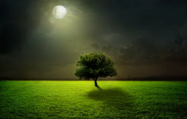 Green, moon, grass, sky, field, night, clouds, tree