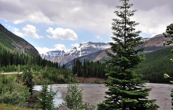 Picture the sky, trees, mountains, lake, spruce