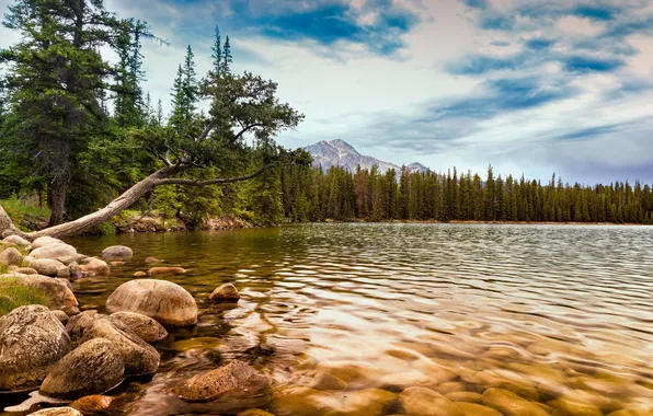 Forest, water, mountains, lake, stones
