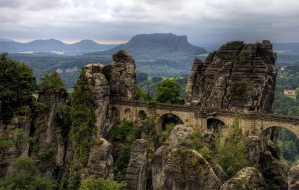 Forest, mountains, bridge, rocks, Germany, national Park
