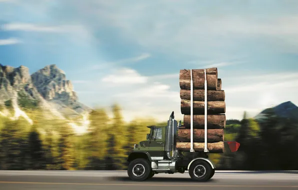 Truck, micro, logs