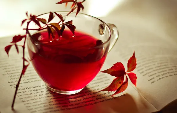 Book, Cup, Text