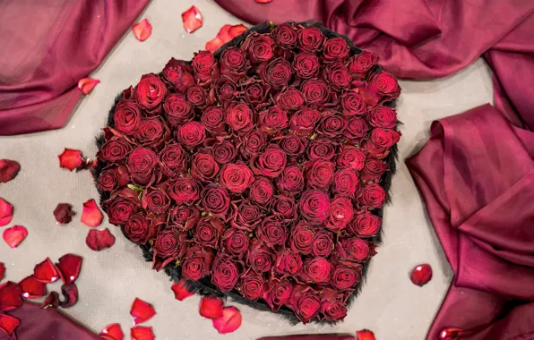 Picture background, holiday, box, roses, buds, Valentine's day