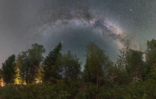 Space, stars, trees, night, beauty, galaxy, Taiga summer, Kudashkina Ksenia