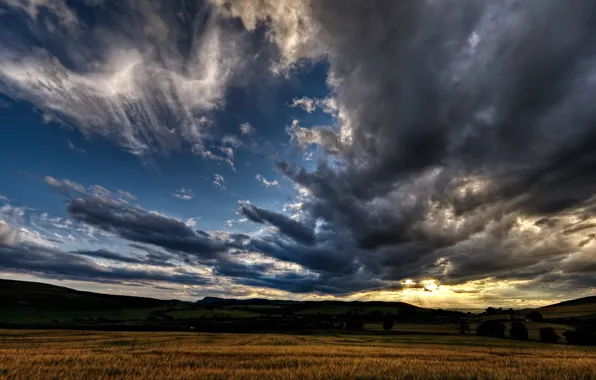 Field, night, sunrise