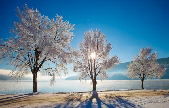 Winter, road, trees, lake, Norway, Norway, Nutodden, Heddalsvatnet Lake