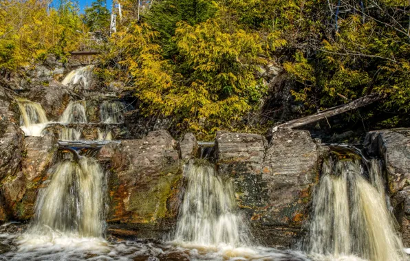 Picture forest, trees, stones, waterfall, CA, USA, cascade, San Juan Ridge Creek