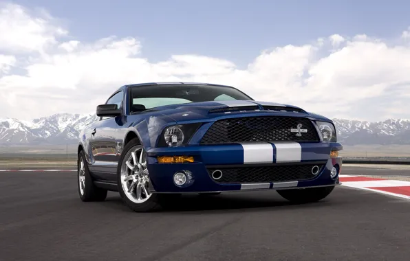 Picture Mustang, Ford, Shelby, GT500, 2008, Mustang, Ford, 40th Anniversary