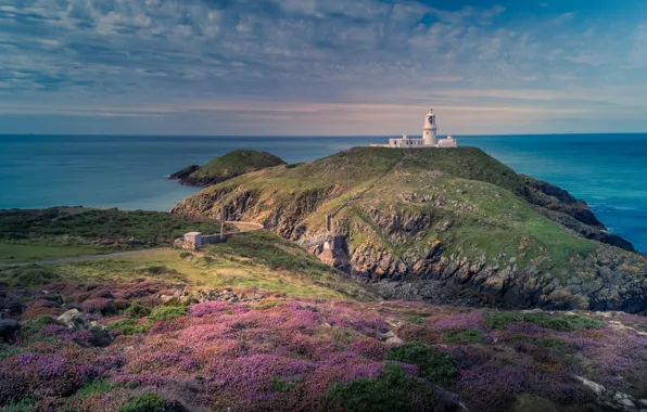 Picture twilight, sky, sea, ocean, coast, sunset, water, flowers