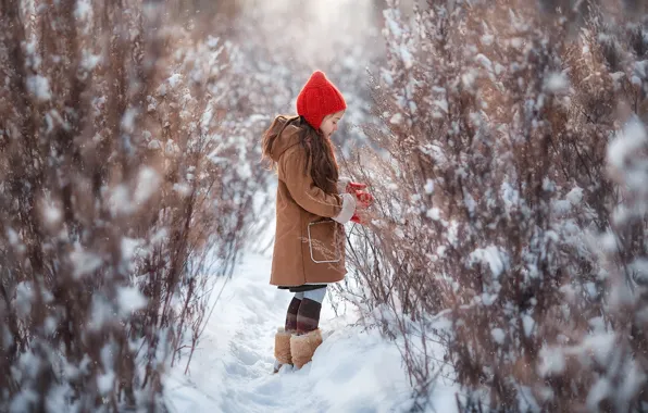 Winter, snow, nature, girl, the bushes, Anastasia Barmina, Anastasia Barmina