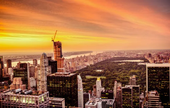 The sky, trees, sunset, New York, USA, skyscrapers, Central Park, Central Park