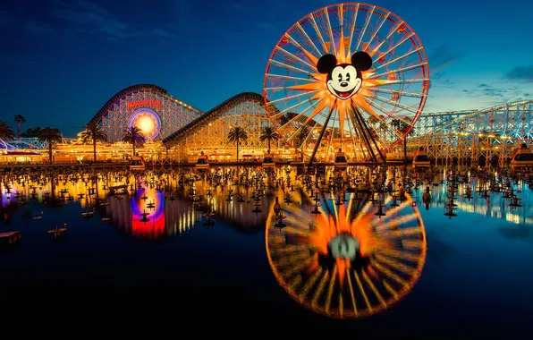 Picture night, Park, wheel, rides, slides, Disneyland