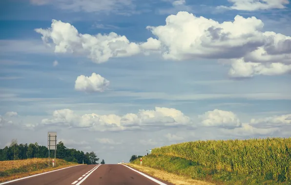 Picture road, the sky, grass, clouds, track