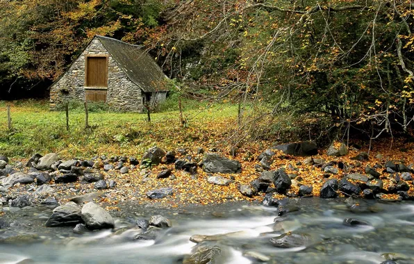 Picture autumn, forest, leaves, river, stream, stones, Nature, house