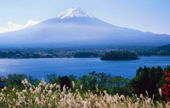 Grass, Japan, Bay, Japan, Fuji, Fuji