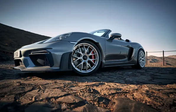 Porsche, sports car, Porsche, 718, Porsche 718 Spyder RS