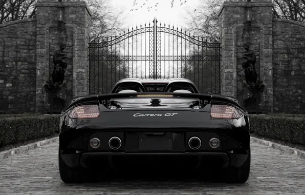 Picture black, Porsche, Porsche, black, the gates, back, carrera, Carrera