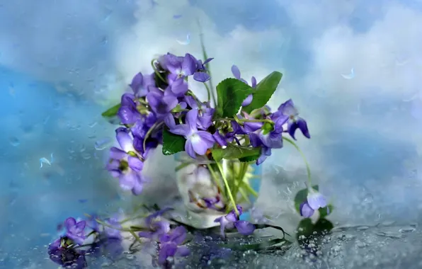 Picture glass, flowers, background, rain, drops on glass, violets in a vase