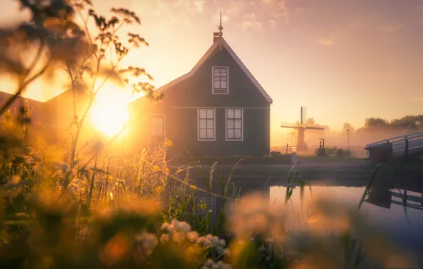 Fog, morning, Netherlands, windmill, The Zaanse Schans