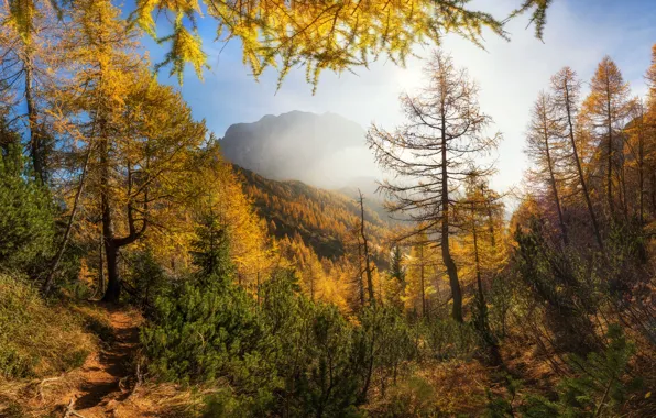 Picture autumn, mountains, morning