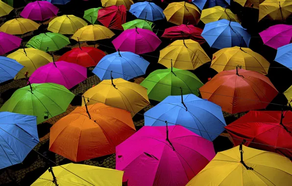 Wire, umbrella, umbrellas, umbrellas, colorful, bright colors, a lot, hang