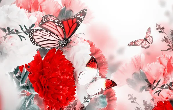 Butterfly, flowers, flowering, blossom, carnation, flowers, twigs, branches