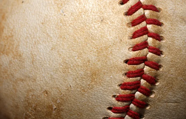 Picture leather, ball, baseball, thread, softball