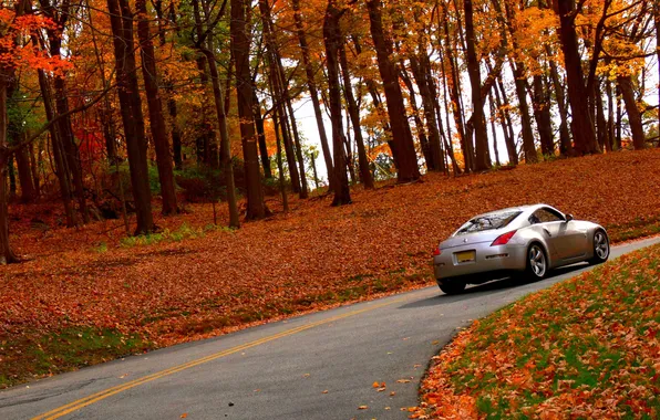 Road, autumn, nature, nissan, 350z