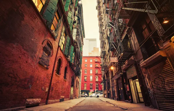 Street, building, New York, Brooklyn, cars, city, United States Of America, Brownstone