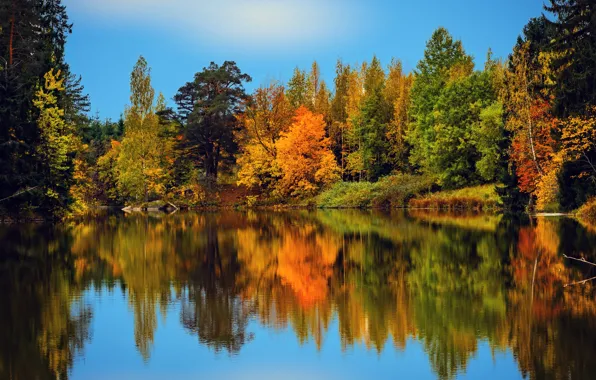 Autumn, forest, trees, reflection, river, Finland, Finland, Mustijoki River