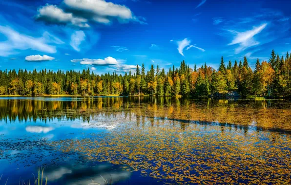 Picture autumn, forest, the sky, clouds, lake, foliage, HDR, Norway