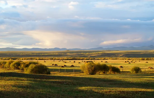 Field, autumn, the sky, landscape, nature, the evening, mdtristan, Buryatia