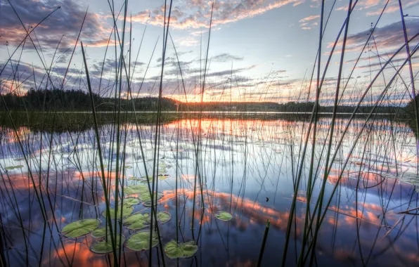 The sky, nature, lake, reflection, Kamis