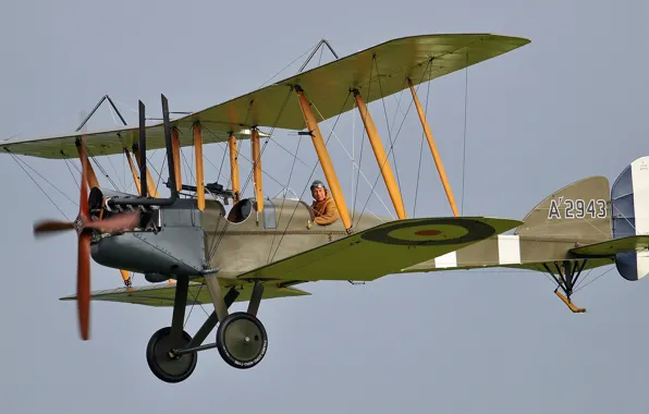 Picture flight, pilot, biplane, Royal Aircraft Factory B.E.2e