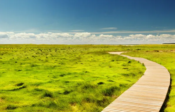 USA, grass, United States, sky, clouds, Massachusetts, route, America