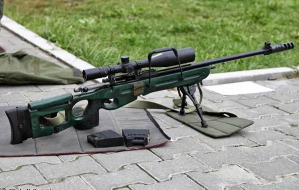 Sniper rifle, clips, SV-98, 7.62 mm, SV-98, sniper rifle